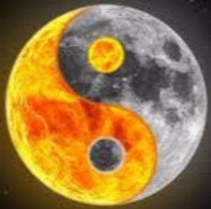 Meet your Posher, Curtis